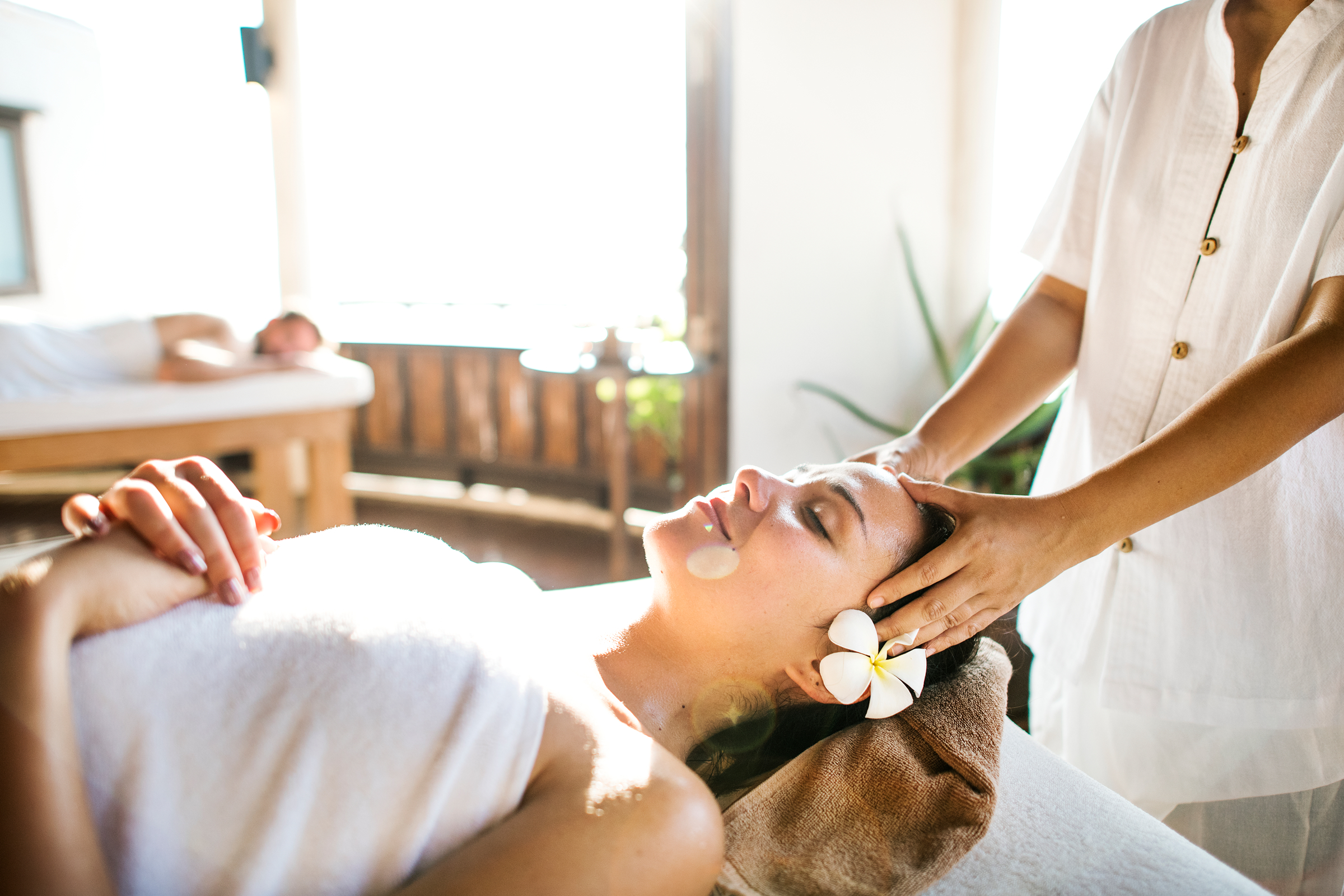 Wellness / Medical Tourism